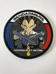Patch végéta GN