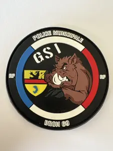 GSI BRON