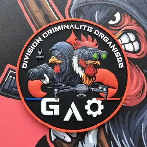 Écusson DCO - GAO