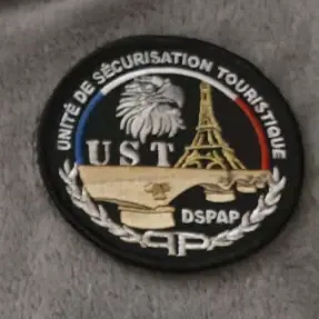 Ecusson UST - DSPAP