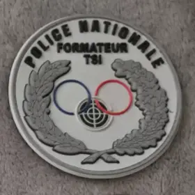 Ecusson Police Nationale TSI Gris